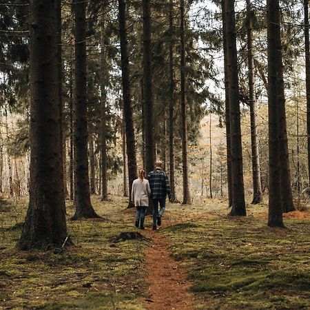 4P Chalet Tolve Met 4 Fietsen Vlakbij Natuurgebieden Drents Friese Wold, Fochteloerveen En Gevangenisdorp Veenhuizen 우스터볼데 외부 사진