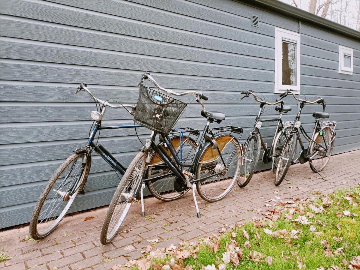 4P Chalet Tolve Met 4 Fietsen Vlakbij Natuurgebieden Drents Friese Wold, Fochteloerveen En Gevangenisdorp Veenhuizen 우스터볼데 외부 사진