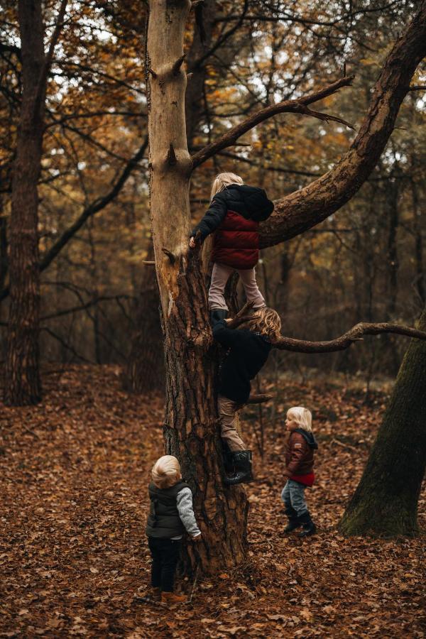 4P Chalet Tolve Met 4 Fietsen Vlakbij Natuurgebieden Drents Friese Wold, Fochteloerveen En Gevangenisdorp Veenhuizen 우스터볼데 외부 사진