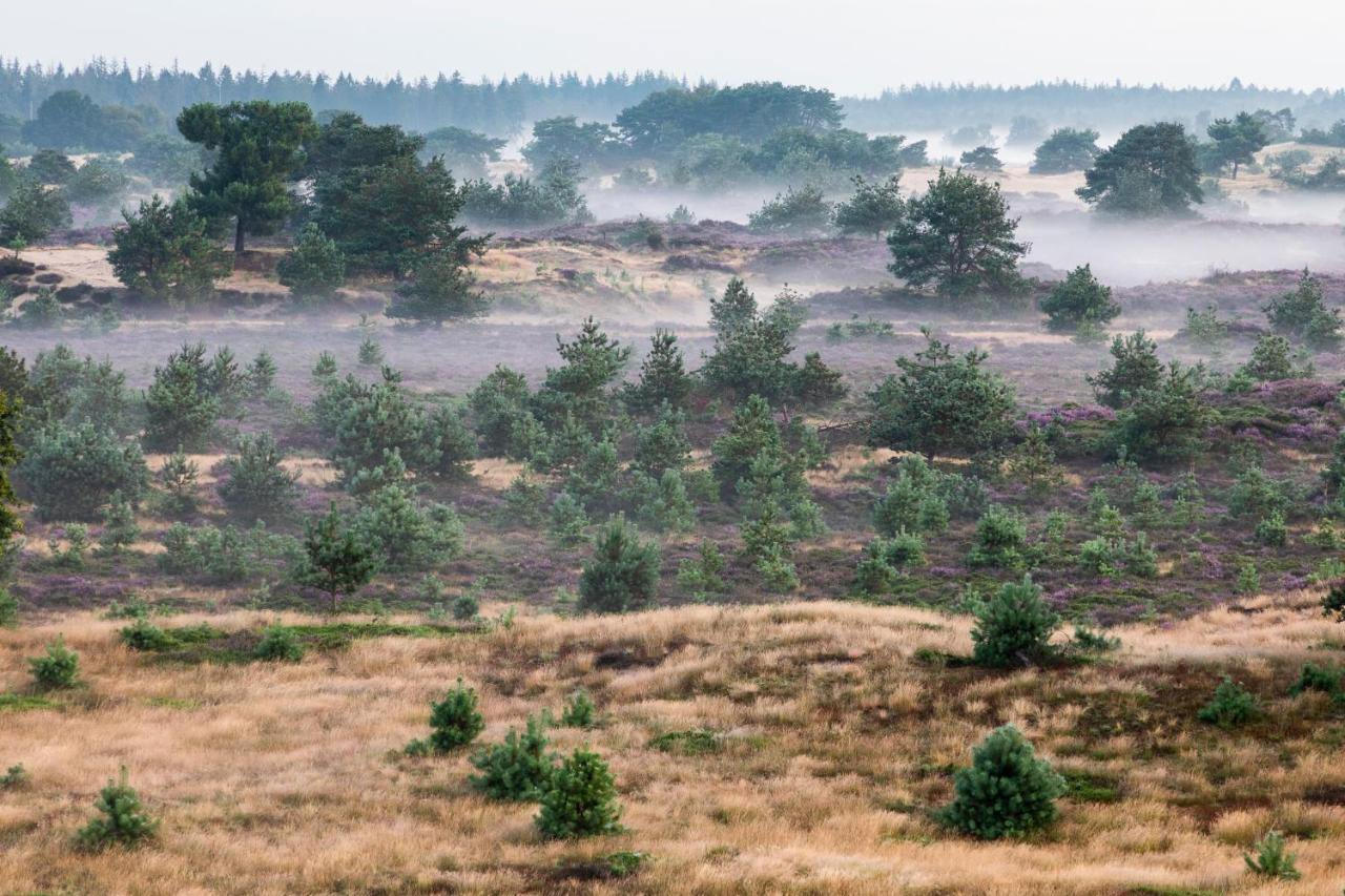 4P Chalet Tolve Met 4 Fietsen Vlakbij Natuurgebieden Drents Friese Wold, Fochteloerveen En Gevangenisdorp Veenhuizen 우스터볼데 외부 사진