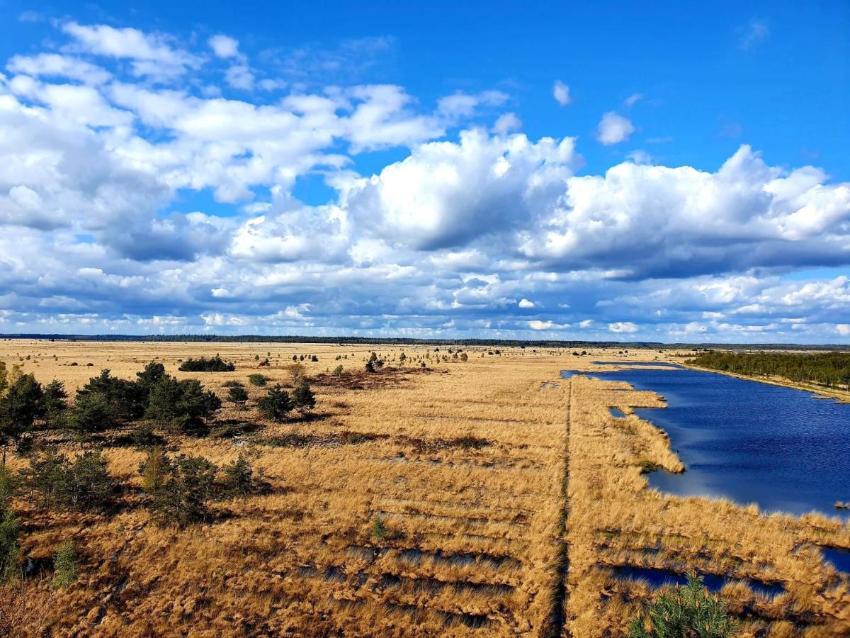 4P Chalet Tolve Met 4 Fietsen Vlakbij Natuurgebieden Drents Friese Wold, Fochteloerveen En Gevangenisdorp Veenhuizen 우스터볼데 외부 사진